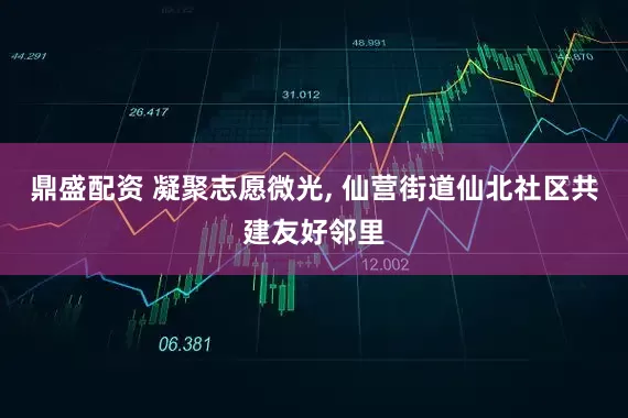 鼎盛配资 凝聚志愿微光, 仙营街道仙北社区共建友好邻里