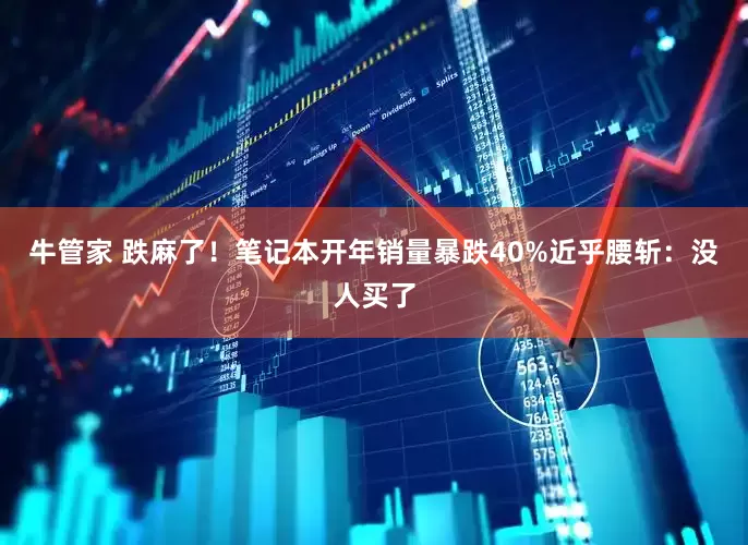 牛管家 跌麻了！笔记本开年销量暴跌40%近乎腰斩：没人买了